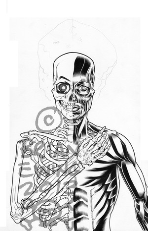 SWANS/ BRIDE OF FRANKENSTEIN ORIGINAL ART