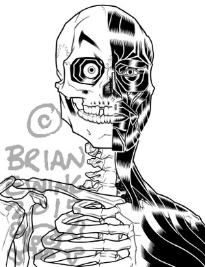 "PUSCIFER ORIGINAL ART"