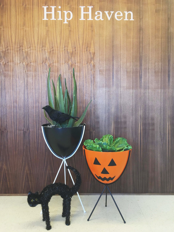 DIY Series: Bullet Planter Jack-O-Lantern & more fun ideas for Halloween!