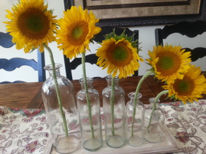 Bottle Vases on a Wood Tray