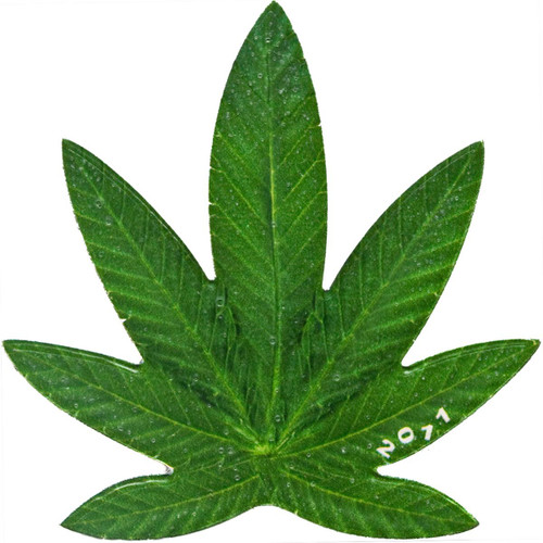 CANNABIS SATIVA Shape 100 Francs BENIN 2011 Proof Coin CANNABIS SATIVA Shape 100 Francs BENIN 2011 Proof Coin