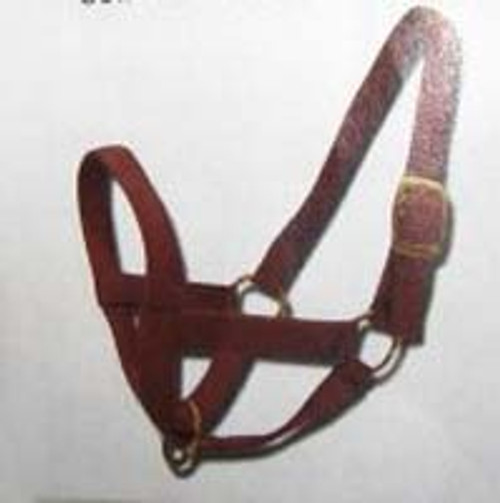 Halters The Cattle Shop