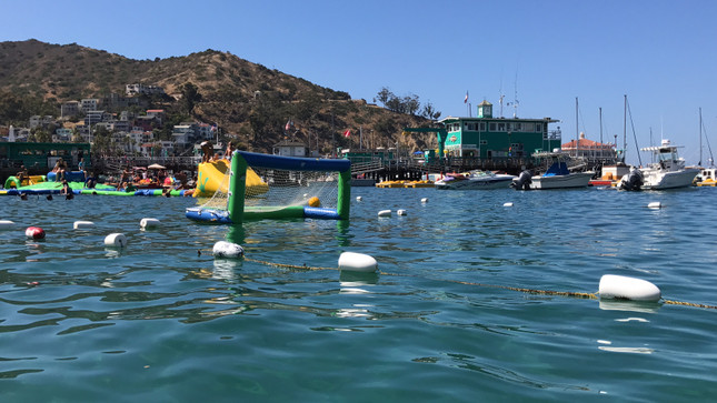 Olympians show you how to Improve your water polo game!