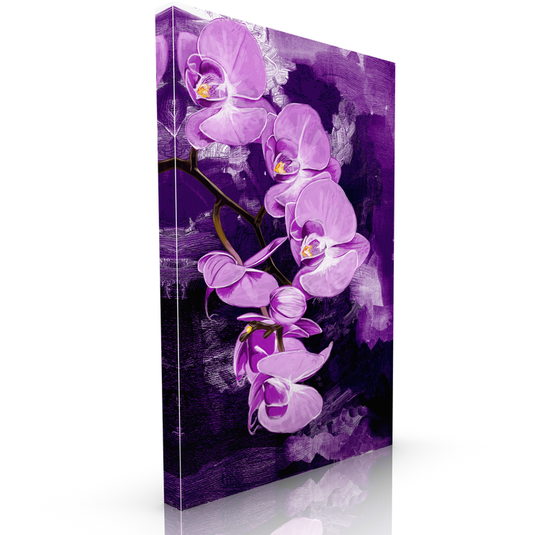 Purple Orchid