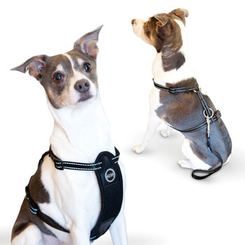 Pet Products Travel Safety Harness Pet Products Travel Safety Harness