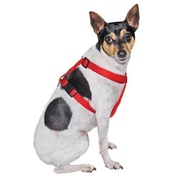 Adjustable Nylon Dog Harness, 5/8" W (14"-20") Adjustable Nylon Dog Harness, 5/8" W (14"-20")