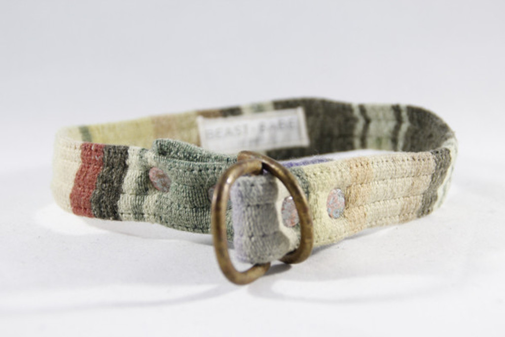 Teenage Mutant Collar