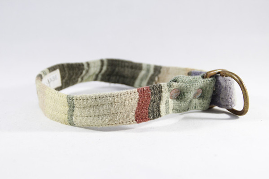 Teenage Mutant Collar