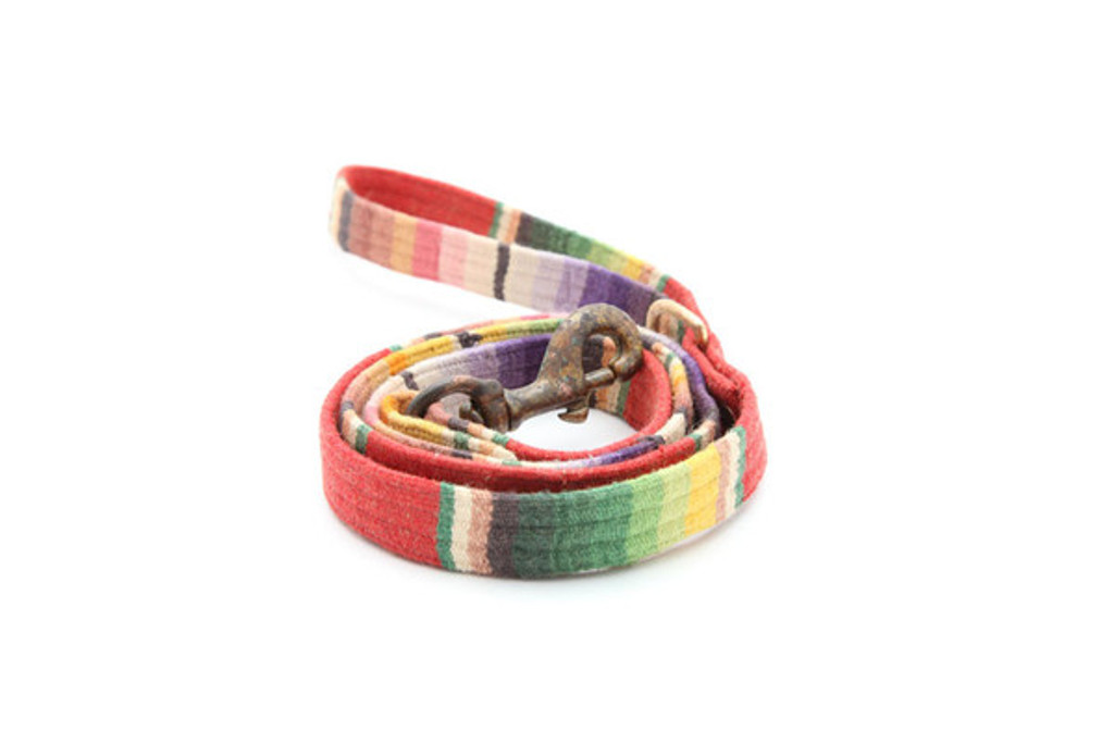 Blazing Saddles Leash