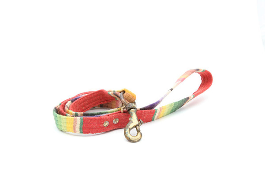 Blazing Saddles Leash