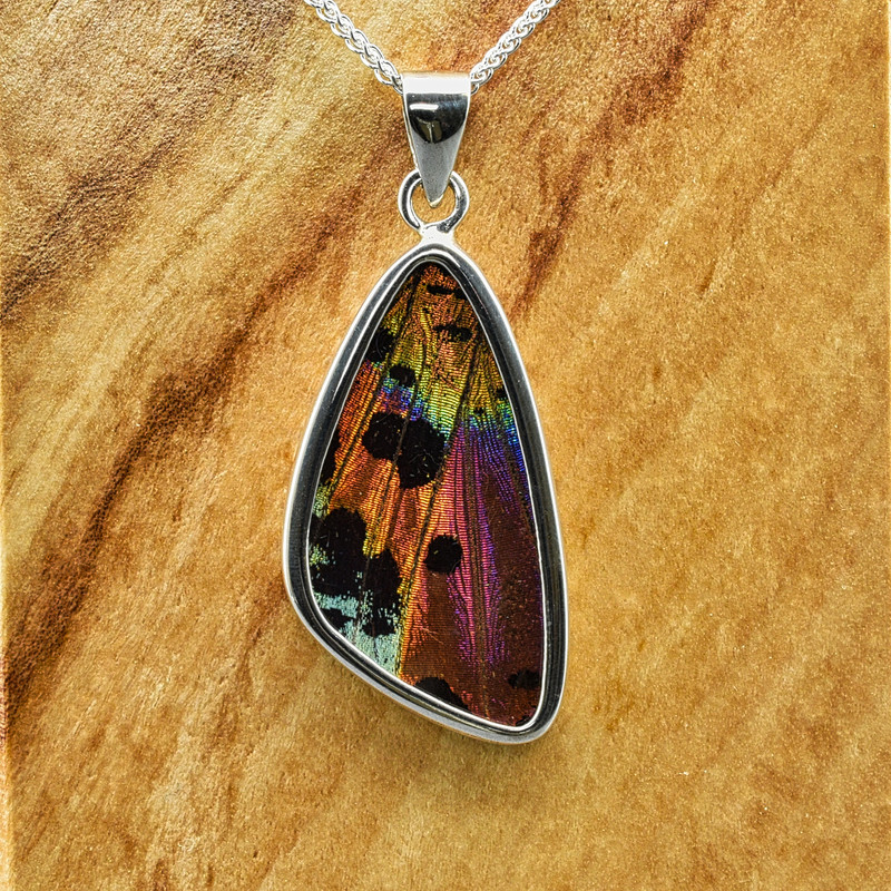 Medium Madagascan Sunset Moth Sterling Bezel Pendant