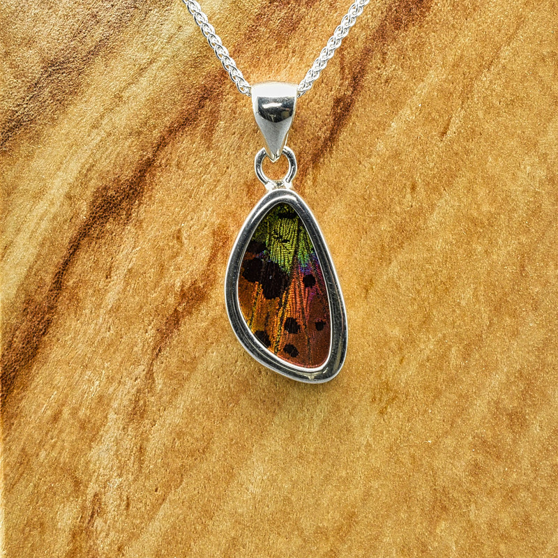 X-Small Madagascan Sunset Moth Sterling Bezel Pendant