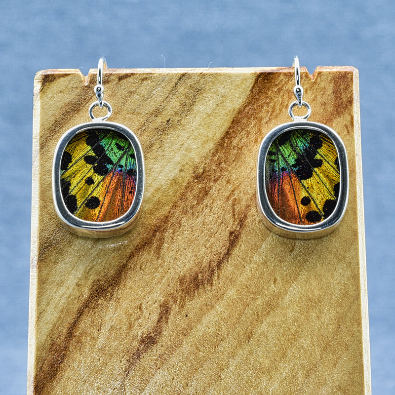 Small Oval Madagascan Sunset Moth Sterling Bezel Earrings