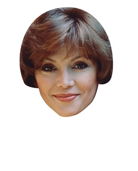 Pam Ewing Dallas Celebrity Face Mask Pam Ewing Dallas Celebrity Face Mask