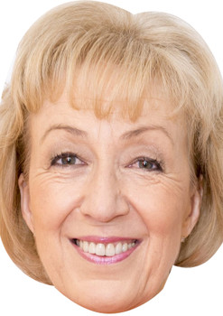 Andrea Leadsom Prime Uk Minister Politician Face Mask Andrea Leadsom Prime Uk Minister Politician Face Mask