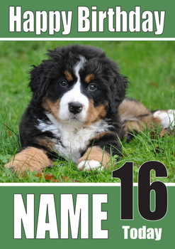 Bernese Mountain Pup Dogs And Puppies Happy Birthday Bernese Mountain Pup Dogs And Puppies Happy Birthday