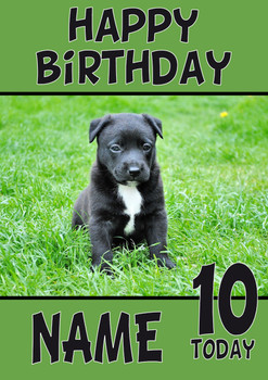 Black Cute Puppy Dogs And Puppies Happy Birthday Black Cute Puppy Dogs And Puppies Happy Birthday