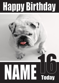 British Buldog Dogs And Puppies Happy Birthday British Buldog Dogs And Puppies Happy Birthday