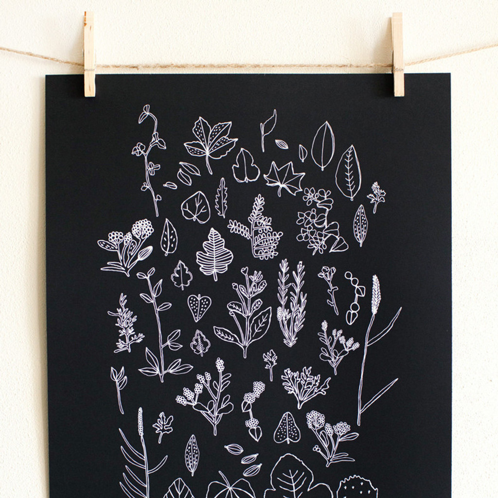 Local Nature Poster