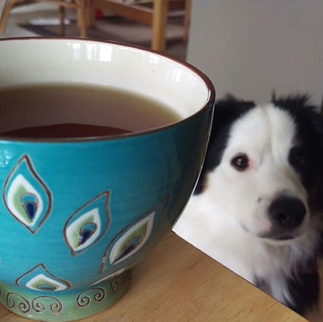 Winner of the #myfavoritemug Contest! Winner of the #myfavoritemug Contest!