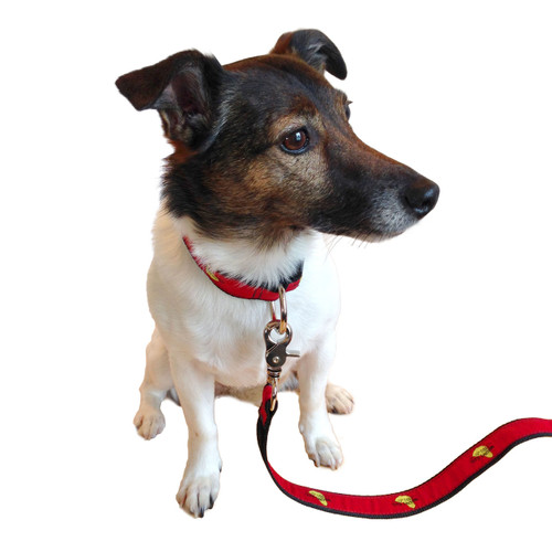Mount Gay® Rum Dog Collar Mount Gay® Rum Dog Collar