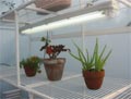 Wire Shelf Racks