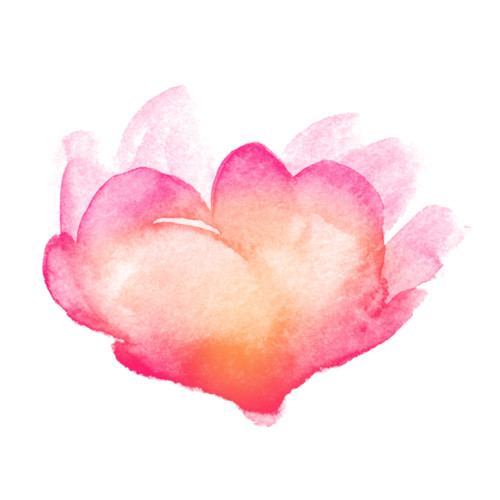 Flowers - Rose