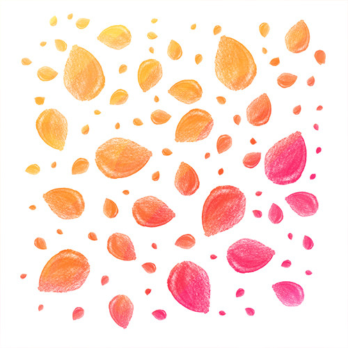 Flowers - Rose Petal