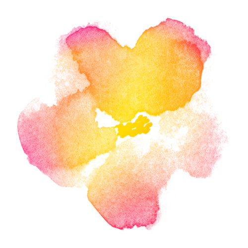 Flowers - Violet