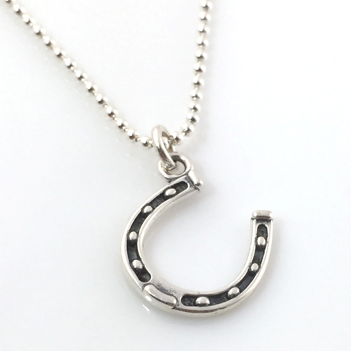 Horseshoe Simple Charm Necklace