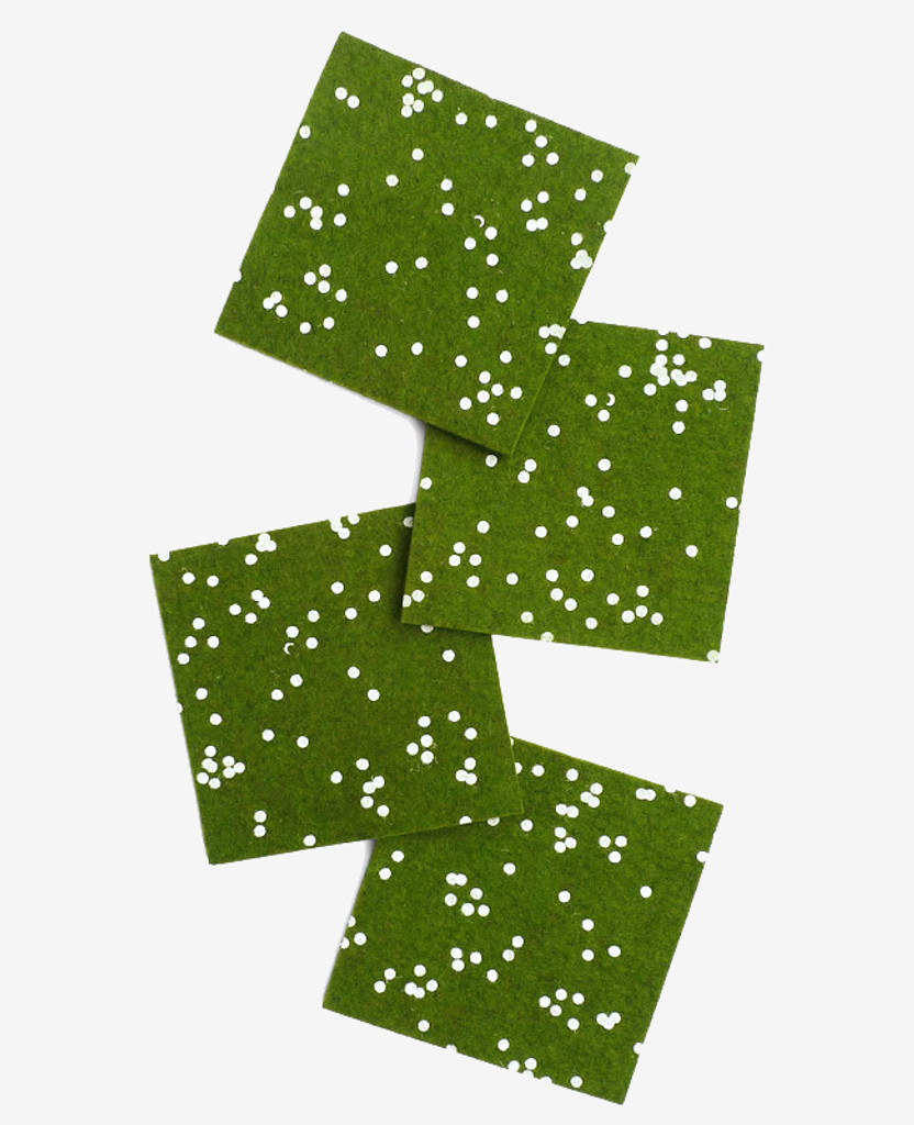 Forest Confetti Coasters