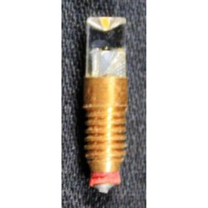 Screw In LED Bulb - 12 volt