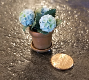 Potted Geranium with Saucer