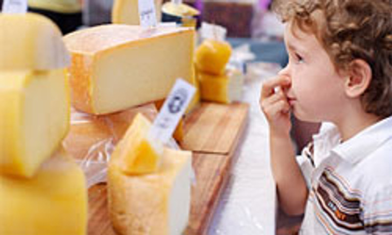 Attraction of Smelly Cheese?