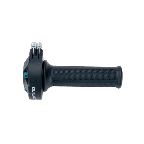Domino Throttle Controller - Coppla