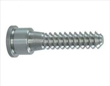 Vicmarc V00991 Replacement Woodworm Screw for Vicmarc Chucks Vicmarc V00991 Replacement Woodworm Screw for Vicmarc Chucks