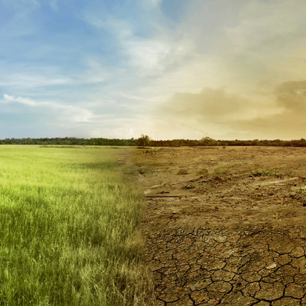 The Great American Drought