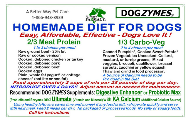 Homemade Diet for Dogs