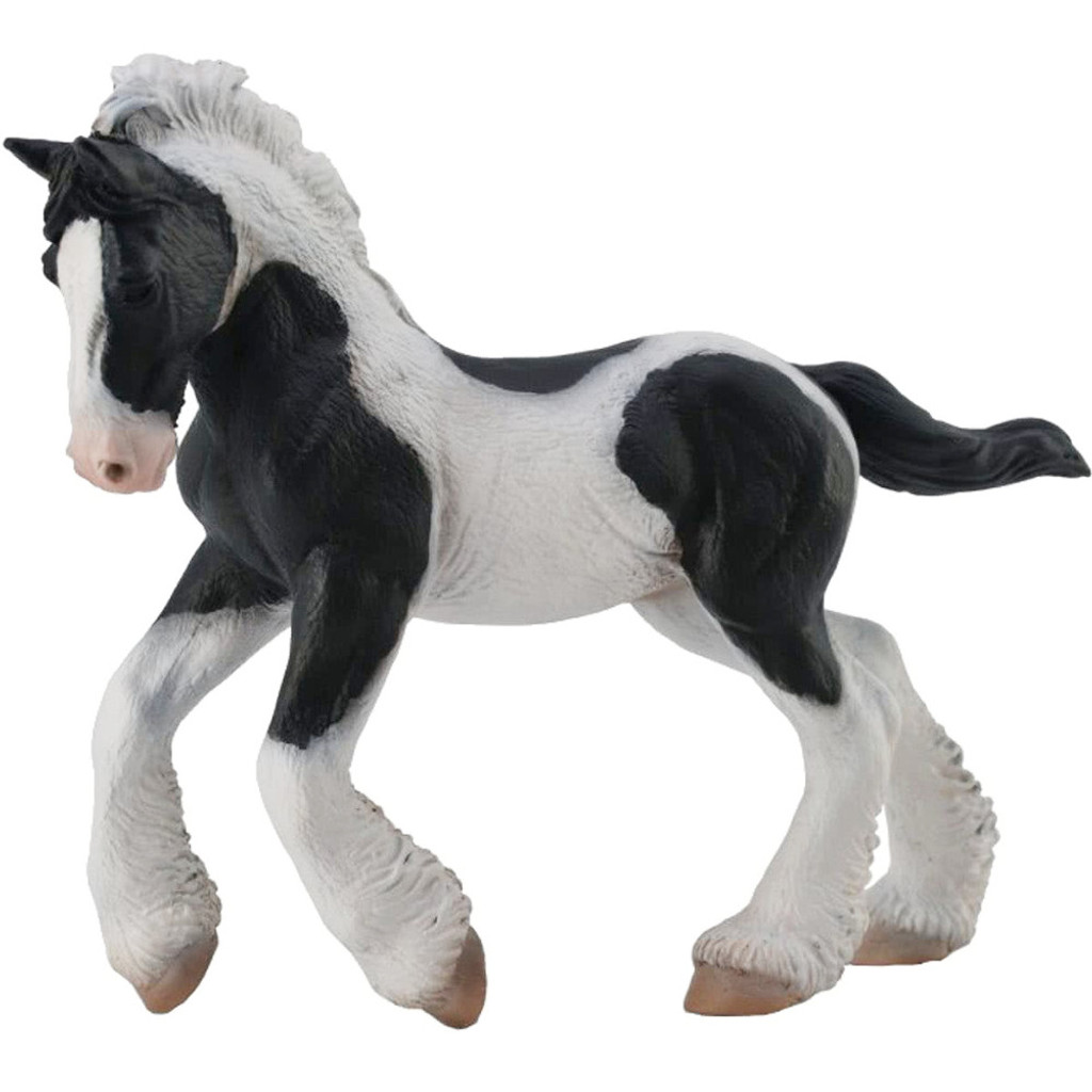 gypsy foal black and white piebald collecta