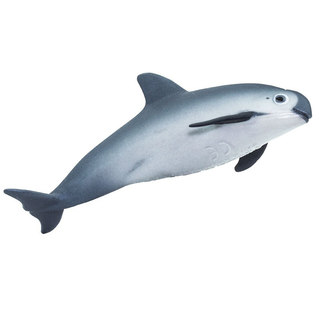 vaquita porpoise