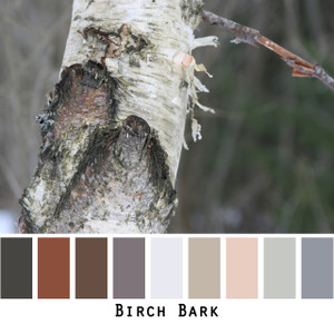 Birch Bark - shades of whites greys and tan to brown with the pink underside of birch bark colors for green eyes, brown eyes, brunette, redhead, black hair, gray hair - photo by Inese Iris Liepina, Wrapture by Inese