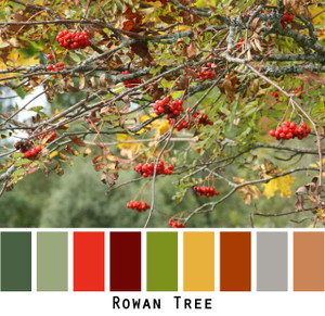Rowan Tree - green red maroon cinamon grey gold raisin forest green colors for green eyes, brown eyes, brunette, black hair - photo by Inese Iris Liepina, Wrapture by Inese