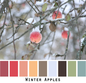 Winter Apples - paprika red rose salmon mango tan blue grey sage green and black for green eyes, brown eyes, brunette, black hair, grey hair- photo by Inese Iris Liepina, Wrapture by Inese