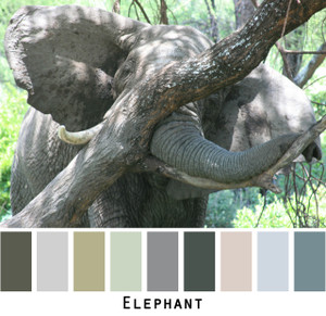 Elephant - blue grey sage gray ivory teal for blue eyes, green eyes, brown eyes, blonde hair, brunette, redhead, black hair, gray hair - photo by Inese Iris Liepina, Wrapture by Inese
