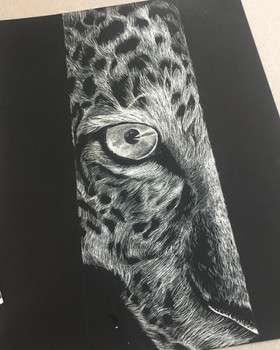 Scratchboard Drawing Workshops Scratchboard Drawing Workshops