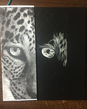 Scratchboard Drawing Workshops Scratchboard Drawing Workshops