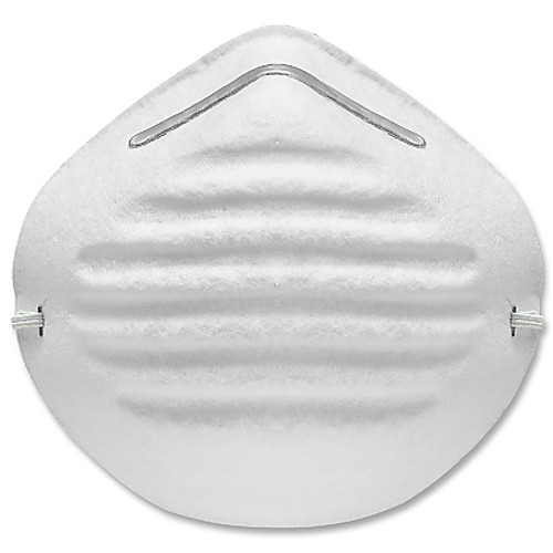 Disposable Dust Masks (3)