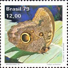 Image result for Caligo eurilochus stamp