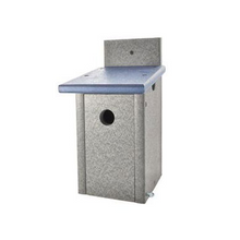 Chick. / Wren Nest Box – Recycled