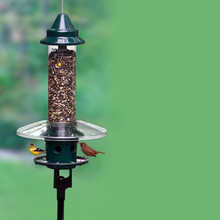 Squirrel Buster Plus Pole Adapter